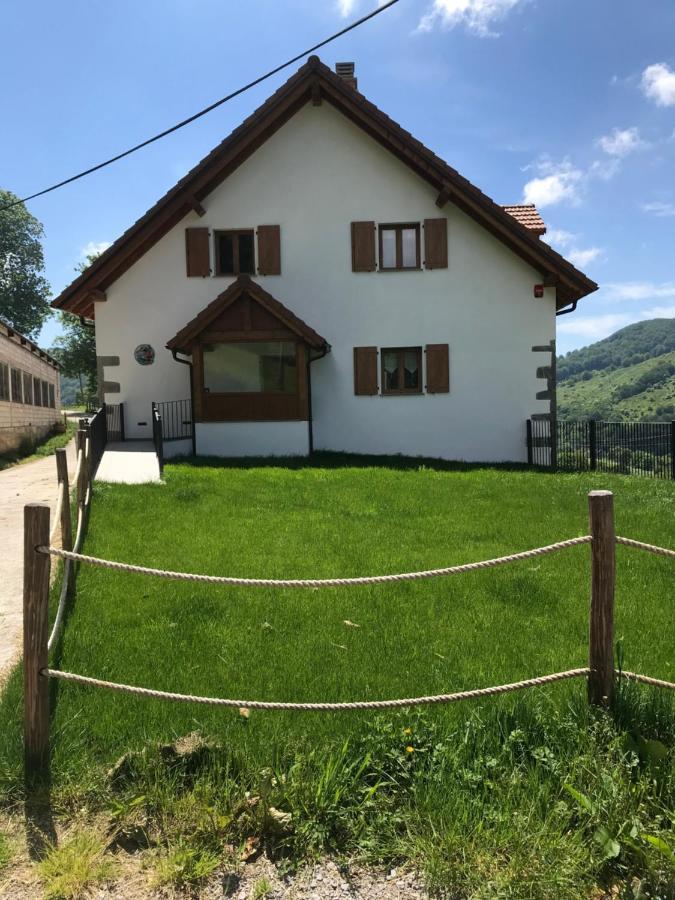 Zabalarena Basoa Orbaiceta