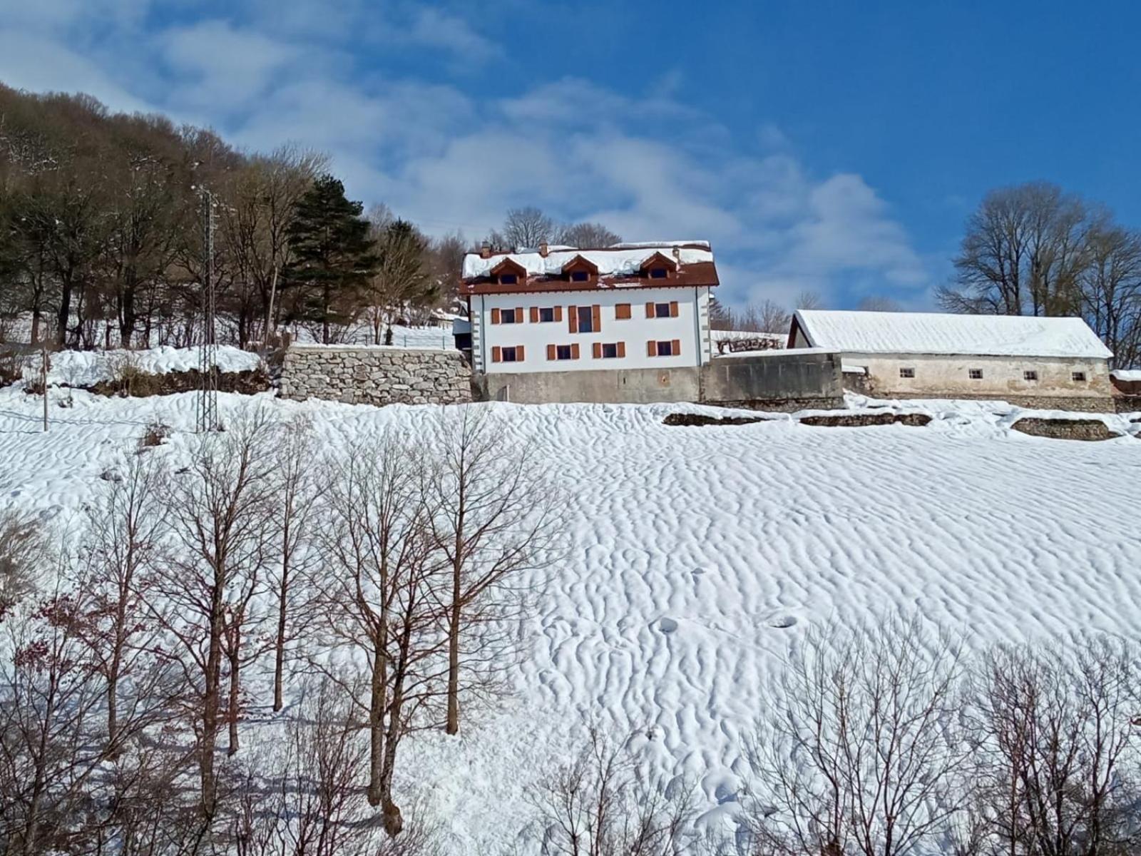 Zabalarena Basoa *